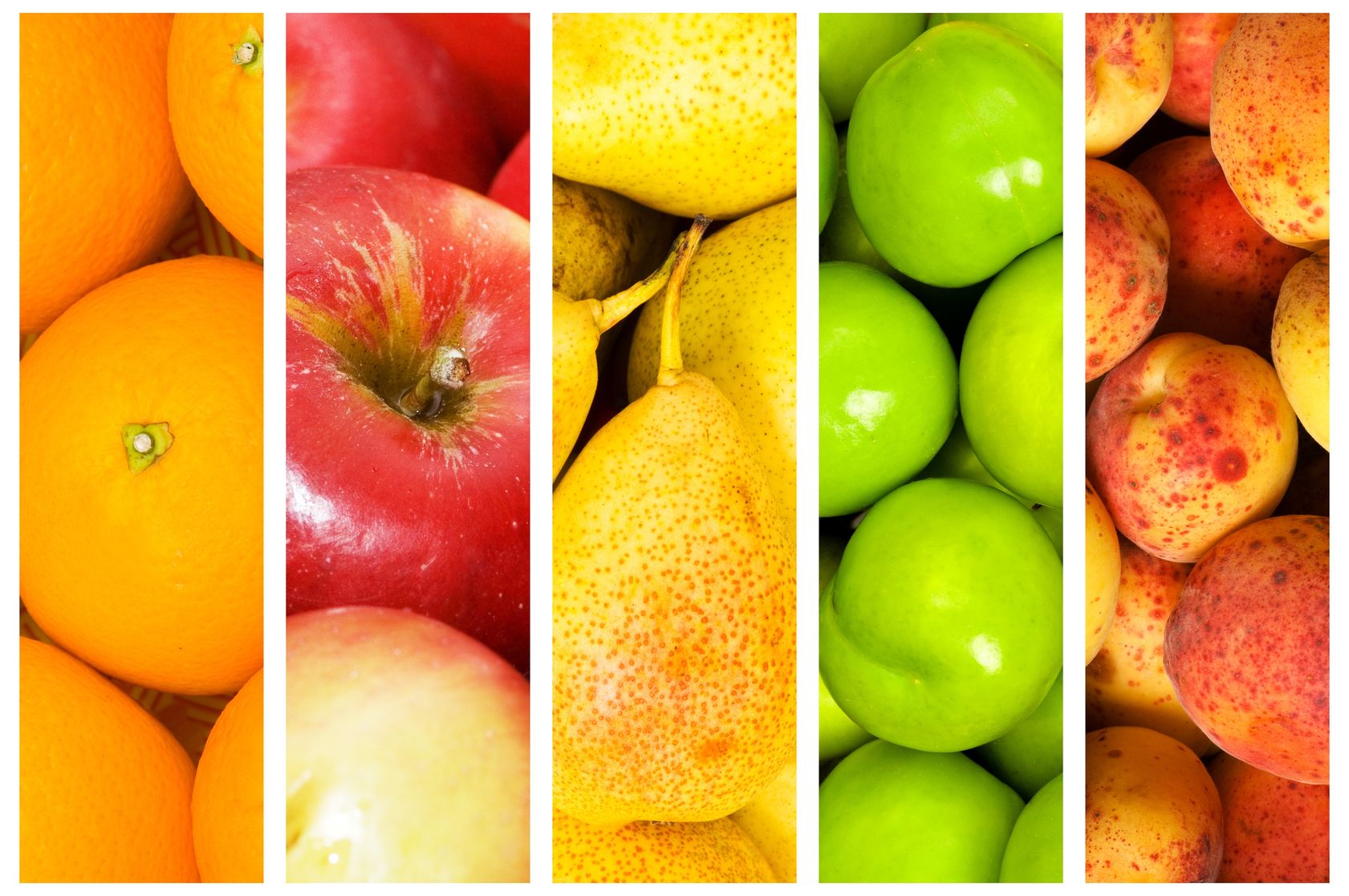 Fruit_Veggie_Collage[1].jpg